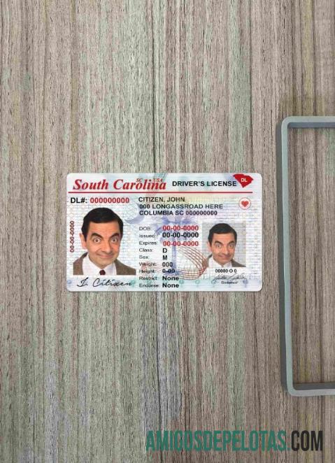 EUA Carolina do Sul DL fotovisual frontal exemplo